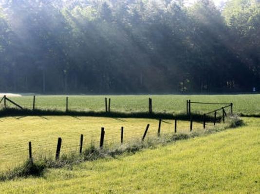 Weide Zaun Sonnenstrahlen Weide Zaun Sonnenstrahlen