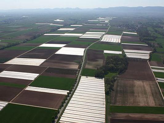 Gemüseanbauflächen Luftaufnahmen