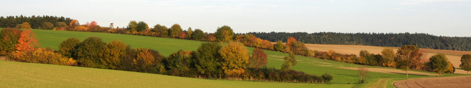 Herbstliche Bäume mit eingesäten Feldern ©LfL Bayern