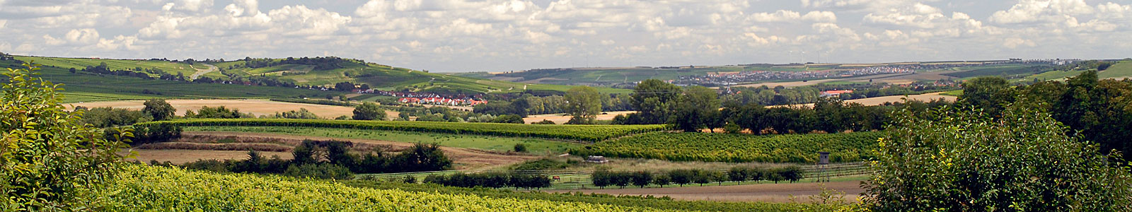 Rheinhessische Hügellandschaft mit Dörfern im Hintergrund ©DLR